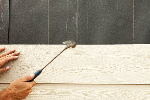 Best Insulated Siding Installation  in New Eagle, PA